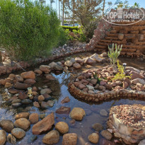 фото из отзыва ID 2663570