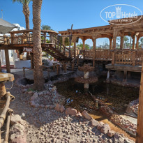 фото из отзыва ID 2663570