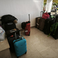 фото из отзыва ID 2663570