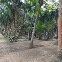 фото из отзыва ID 2663713