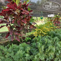 фото из отзыва ID 2663713