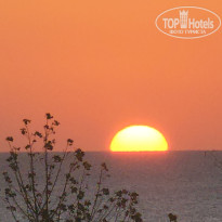 фото из отзыва ID 2662440