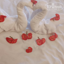 фото из отзыва ID 2663827