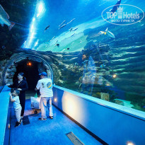 фото из отзыва ID 2663952