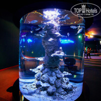 фото из отзыва ID 2663952