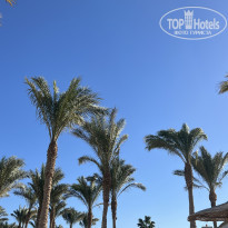 фото из отзыва ID 2663965