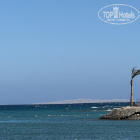 фото из отзыва ID 2663965