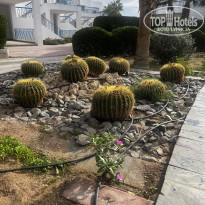 фото из отзыва ID 2663965