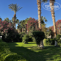 фото из отзыва ID 2663965