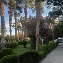 фото из отзыва ID 2663965