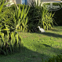 фото из отзыва ID 2663965