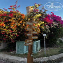 фото из отзыва ID 2663965