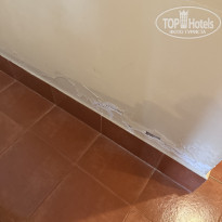 фото из отзыва ID 2663988