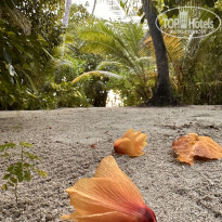 фото из отзыва ID 2664015