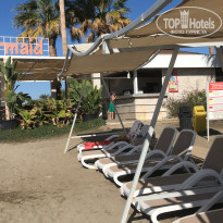 фото из отзыва ID 2664024