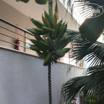 фото из отзыва ID 2664024