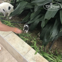 фото из отзыва ID 2664024