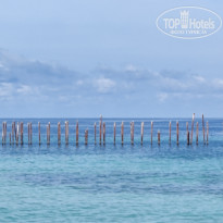 фото из отзыва ID 2664056