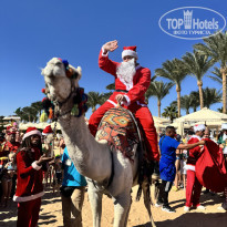 фото из отзыва ID 2664070