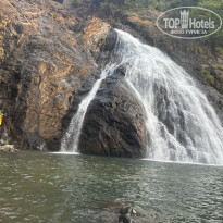 фото из отзыва ID 2664082