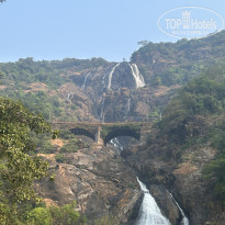 фото из отзыва ID 2664082