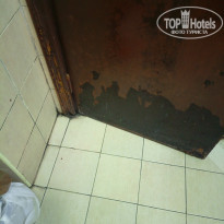 фото из отзыва ID 2664106