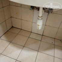 фото из отзыва ID 2664106