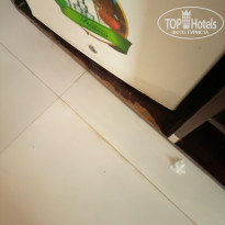 фото из отзыва ID 2664106