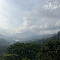 фото из отзыва ID 2664115