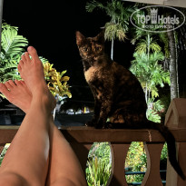 фото из отзыва ID 2664119