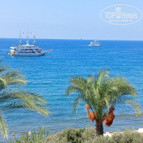 фото из отзыва ID 2664124