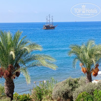 фото из отзыва ID 2664124