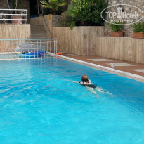 фото из отзыва ID 2664124