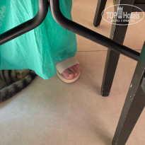 фото из отзыва ID 2664124