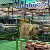 фото из отзыва ID 2664124