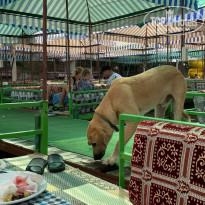 фото из отзыва ID 2664124