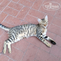 фото из отзыва ID 2664124