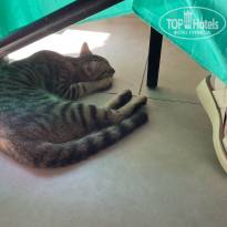 фото из отзыва ID 2664124