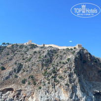 фото из отзыва ID 2664124