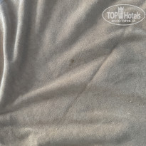 фото из отзыва ID 2664150