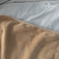 фото из отзыва ID 2664150