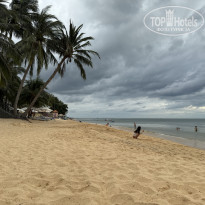 фото из отзыва ID 2664173