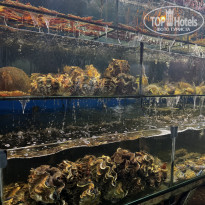 фото из отзыва ID 2664173