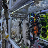 фото из отзыва ID 2664173