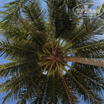 фото из отзыва ID 2664173