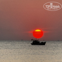 фото из отзыва ID 2664173