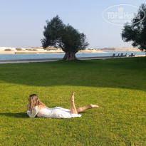 фото из отзыва ID 2664187