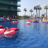 фото из отзыва ID 2664187