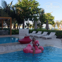 фото из отзыва ID 2664187