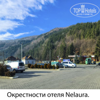 фото из отзыва ID 2664192